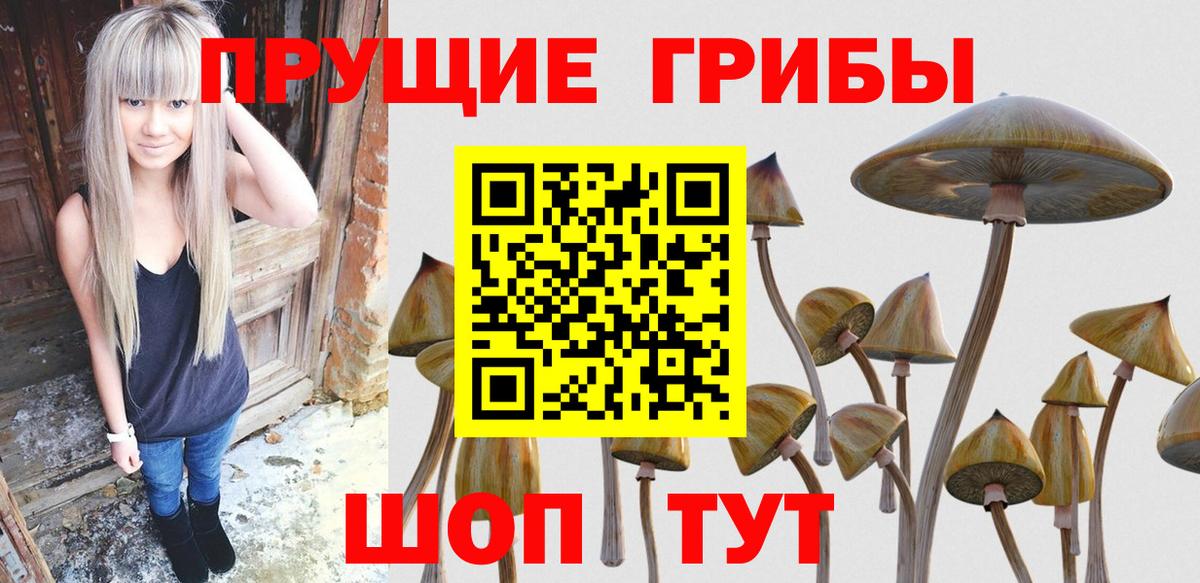 купить наркотики цена  Вход с VPN  Краснодар  Псилоцибиновые грибы ЛСД 