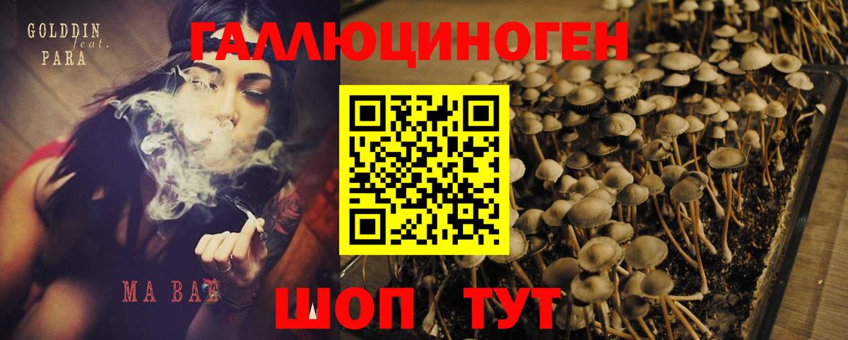 Галлюциногенные грибы Magic Shrooms Краснодар